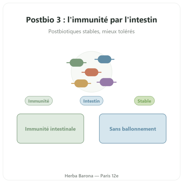 Postbio 3 Dynveo 60 gélules presentation Paris Herba Barona