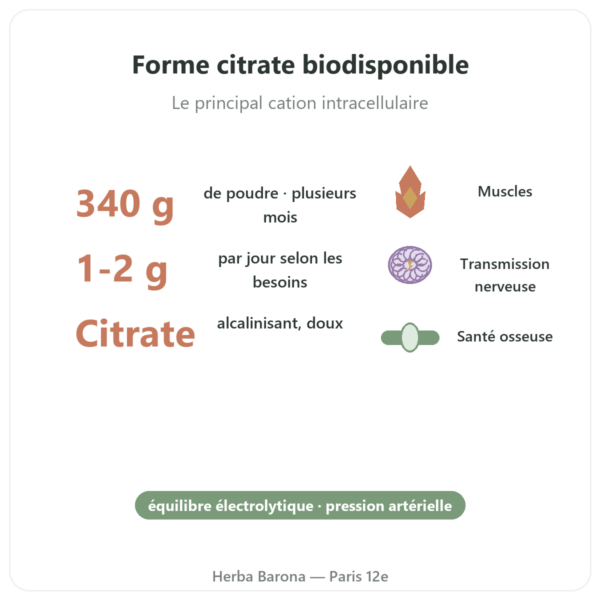 Potassium Citrate Powder – Now Foods – 340 g bienfaits et chiffres Paris Herba Barona