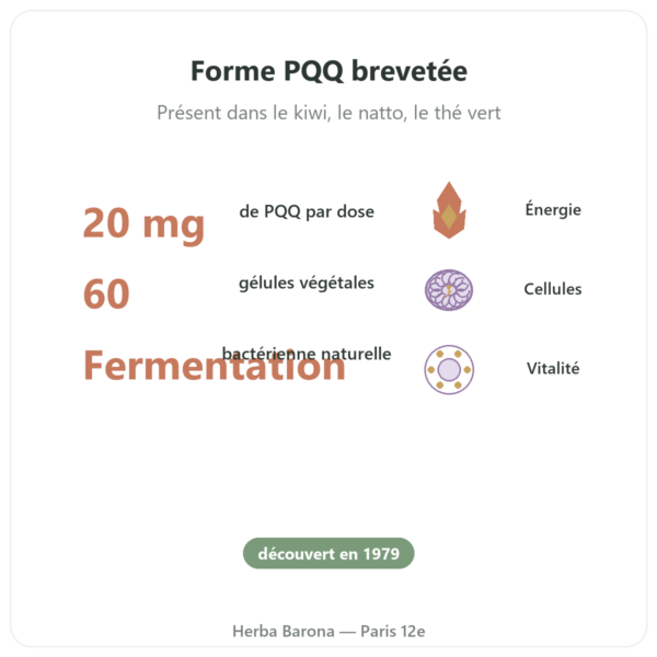 PQQ 20 mg – Osavi – Pyrroloquinoline Quinone bienfaits et chiffres Paris Herba Barona