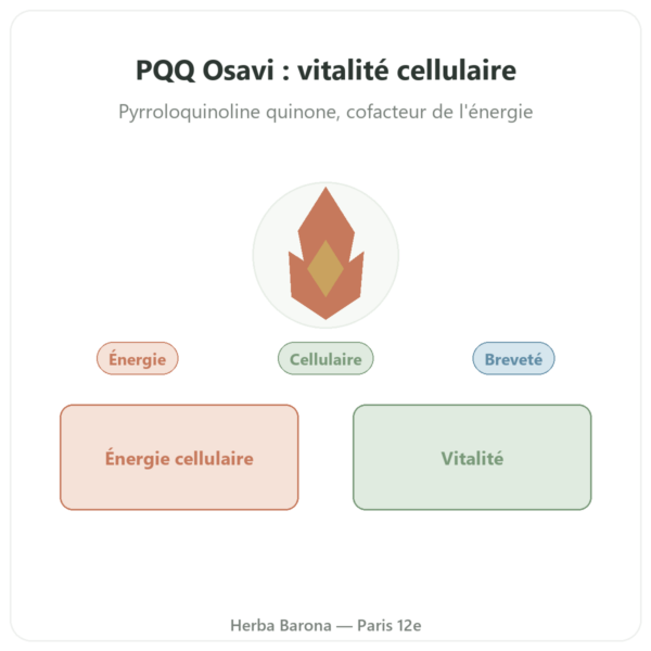 PQQ 20 mg – Osavi – Pyrroloquinoline Quinone presentation Paris Herba Barona