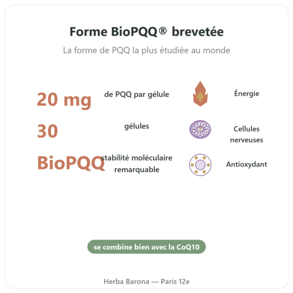 PQQ BioPQQ 20 mg – Doctor's Best – 30 gélules bienfaits et chiffres Paris Herba Barona