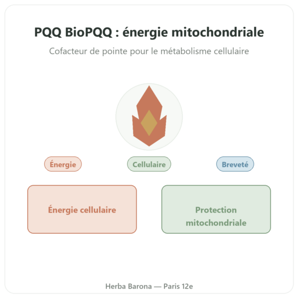 PQQ BioPQQ 20 mg – Doctor's Best – 30 gélules presentation Paris Herba Barona