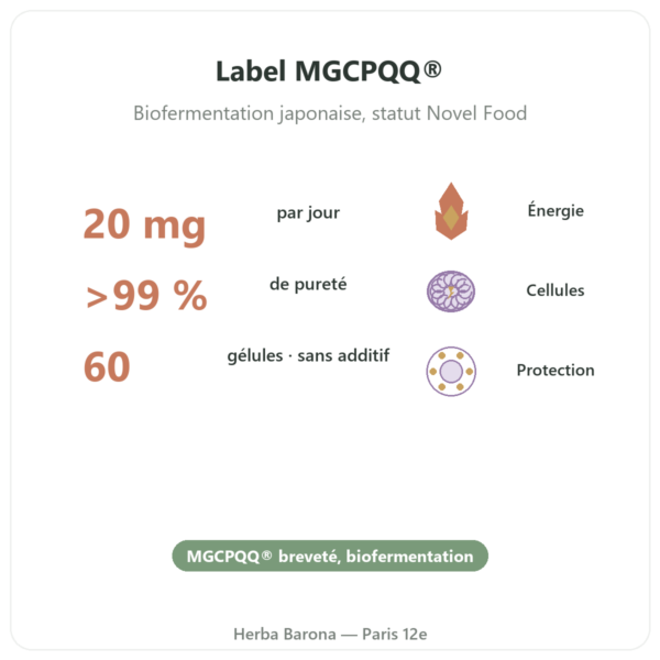 PQQ : Pyrroloquinoléine quinone – Dynveo – 60 gélules bienfaits et chiffres Paris Herba Barona