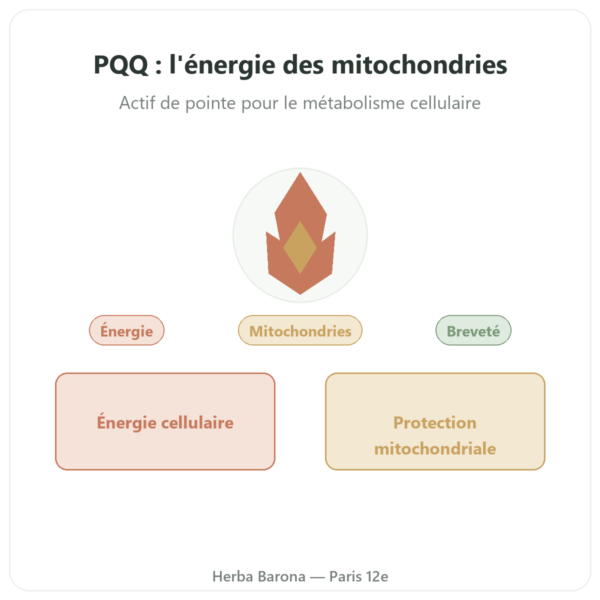 PQQ : Pyrroloquinoléine quinone – Dynveo – 60 gélules presentation Paris Herba Barona
