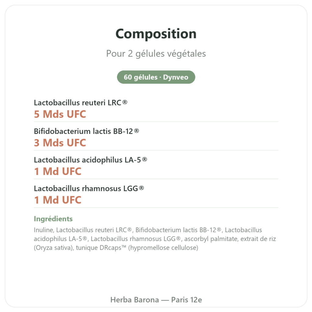 Probio 4 – Dynveo – 60 gélules composition valeurs nutritionnelles Paris Herba Barona