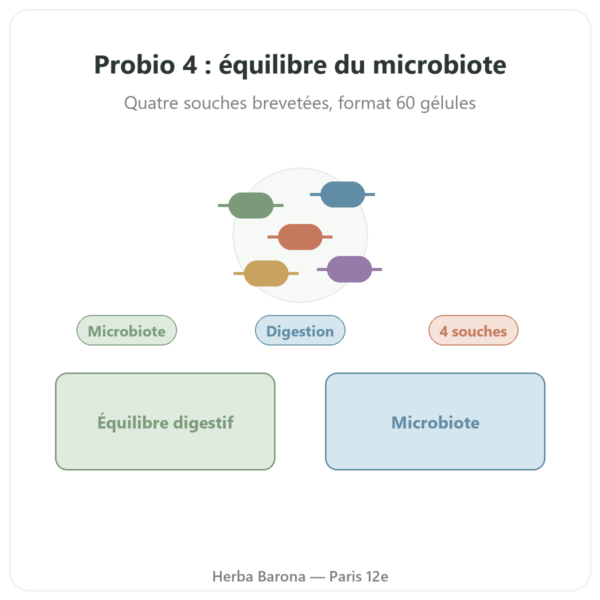 Probio 4 – Dynveo – 60 gélules presentation Paris Herba Barona