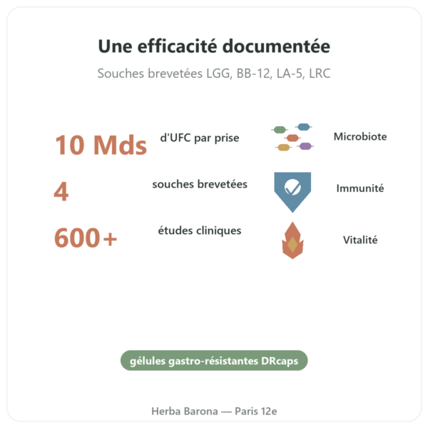 Probio4 – Dynveo – 28 gélules bienfaits et chiffres Paris Herba Barona