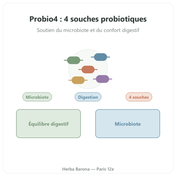 Probio4 – Dynveo – 28 gélules presentation Paris Herba Barona
