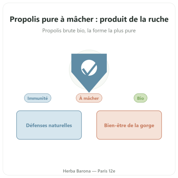 Propolis pure à macher bio en barre – Propolia presentation Paris Herba Barona