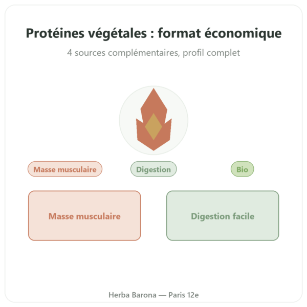 Protéines végétales bio – Dynveo – 1 kg presentation Paris Herba Barona