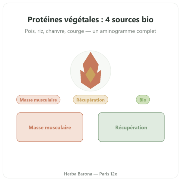 Protéines végétales bio – Dynveo – 500 g presentation Paris Herba Barona