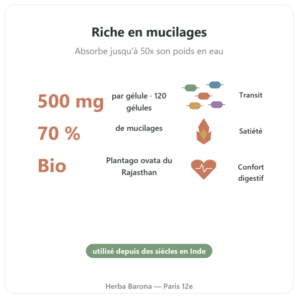 Psyllium bio 500mg 120 gélules – Nature et Partage bienfaits et chiffres Paris Herba Barona