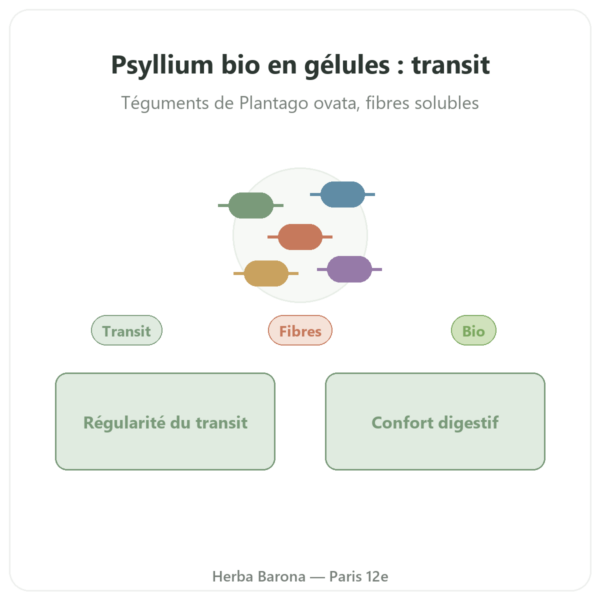 Psyllium bio 500mg 120 gélules – Nature et Partage presentation Paris Herba Barona