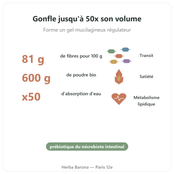 Psyllium Blond Bio en Poudre – Ethnoscience – 600 g bienfaits et chiffres Paris Herba Barona