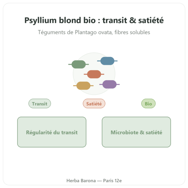 Psyllium Blond Bio en Poudre – Ethnoscience – 600 g presentation Paris Herba Barona