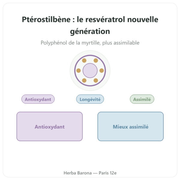 Pterostilbene 50 mg DYNVEO 60 gélules presentation Paris Herba Barona