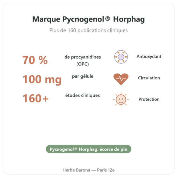 Pycnogenol Dynveo – 100 mg – 70% procyanidines (OPC) – 60 Gélules bienfaits et chiffres Paris Herba Barona