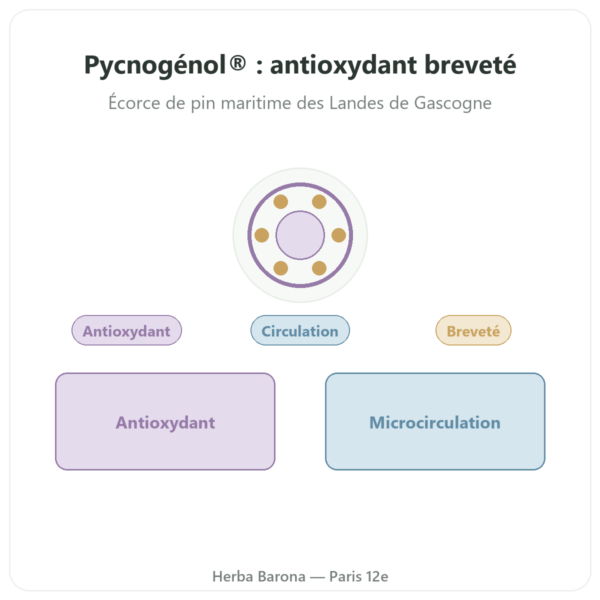 Pycnogenol Dynveo – 100 mg – 70% procyanidines (OPC) – 60 Gélules presentation Paris Herba Barona