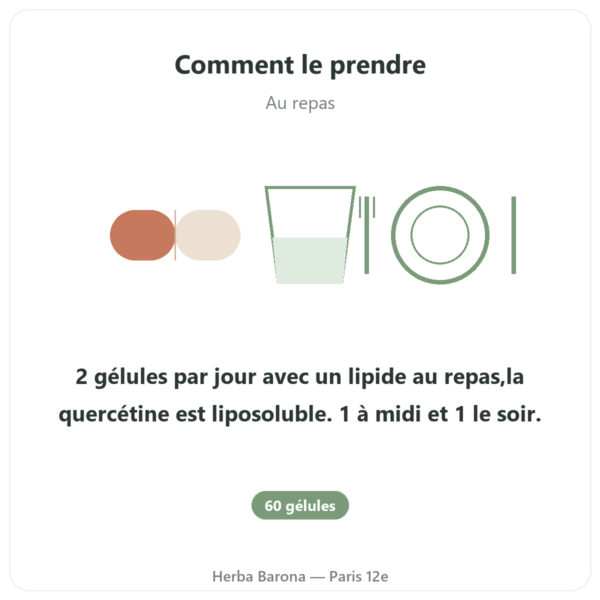 Quercétine 500 mg 60 gélules DYNVEO mode emploi conseil de prise Paris Herba Barona