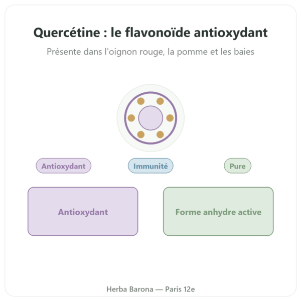 Quercétine 500 mg 60 gélules DYNVEO presentation Paris Herba Barona