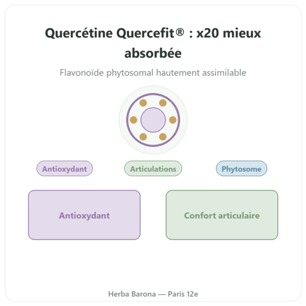 Quercétine Optimisée Quercefit Dynveo 60 Gélules presentation Paris Herba Barona