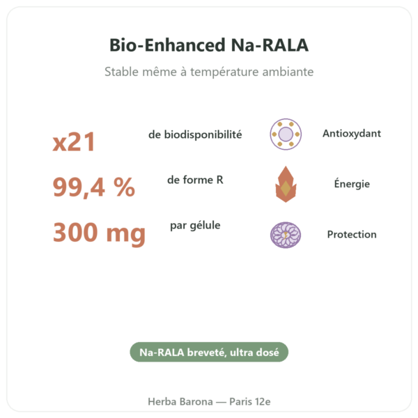 R-lipoate de Sodium 300 mg – 60 gélules – Dynveo bienfaits et chiffres Paris Herba Barona