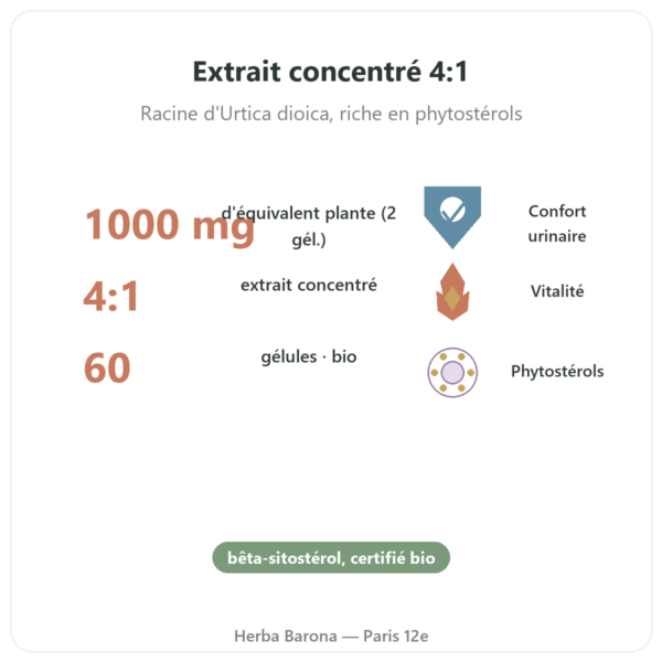 Racine d’Ortie Bio – Dynveo – Extrait 4:1 – 60 gélules bienfaits et chiffres Paris Herba Barona