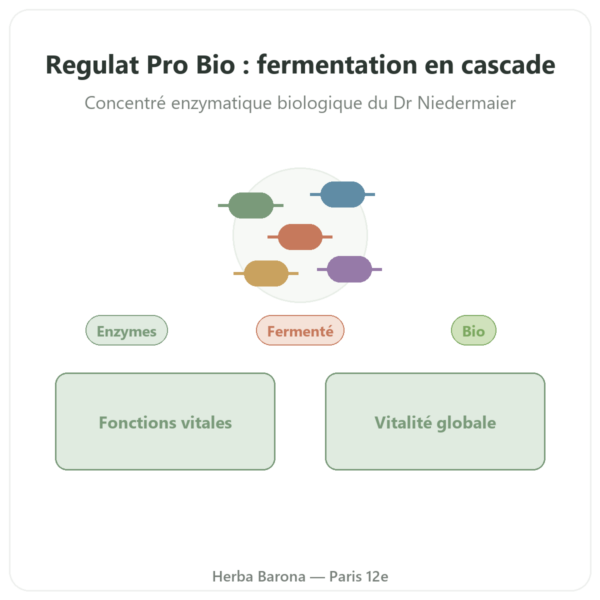 Regulat Pro Bio Original du Dr Niedermaier – 350 ml presentation Paris Herba Barona