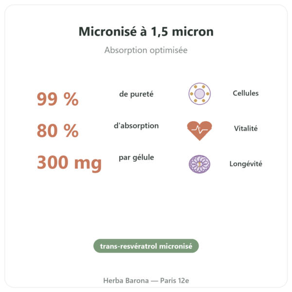 Resveratrol 300 mg 60 gélules DYNVEO bienfaits et chiffres Paris Herba Barona