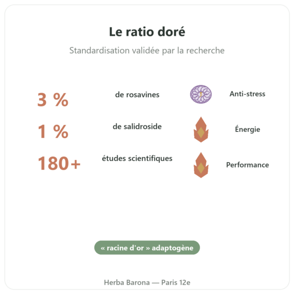 Rhodiola Rosea – Dynveo – 60 gélules – Adaptogène bienfaits et chiffres Paris Herba Barona