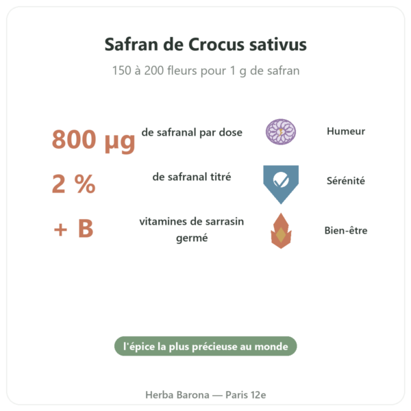 SAFRAMAX – 60 gélules Safranal – extrait de safran + vitamines B bienfaits et chiffres Paris Herba Barona