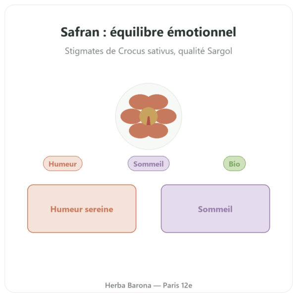 Safran BIO – Dynveo -15mg – 60 Gélules presentation Paris Herba Barona