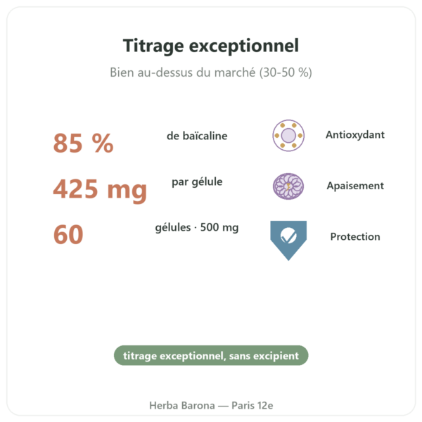 Scutellaria Baicalensis 500mg – Dynveo – 60 gél. bienfaits et chiffres Paris Herba Barona