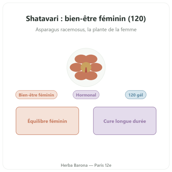 Shatavari Bio – Ayur-vana – 120 gélules presentation Paris Herba Barona