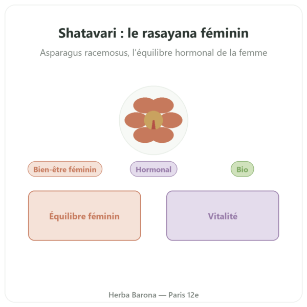 Shatavari Bio – Ayur-vana – 60 gélules presentation Paris Herba Barona