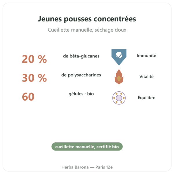 Shiitake bio- dynveo- 60 gélules bienfaits et chiffres Paris Herba Barona