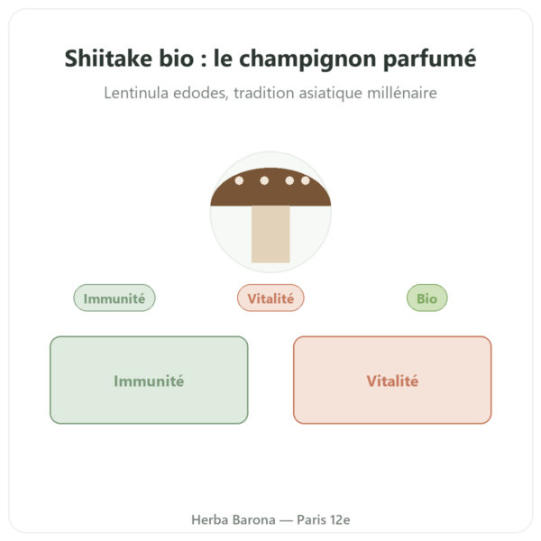 Shiitake bio- dynveo- 60 gélules presentation Paris Herba Barona