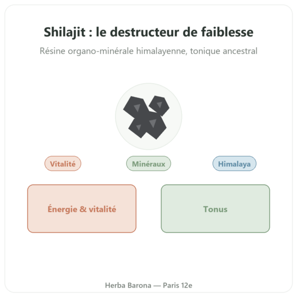 Shilajit en gélules – Ayur-vana – 60 gélules presentation Paris Herba Barona