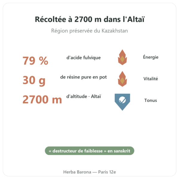 Shilajite en résine pur – SIHO- 79% d'acide fulvique – 30 g en pot bienfaits et chiffres Paris Herba Barona