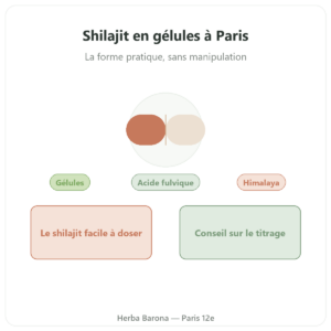 Shilajit i kapsler
