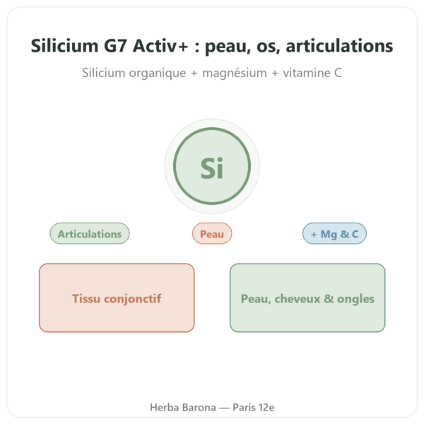 Silicium G7 Activ+ – 60 gélules – Silicium Laboratories presentation Paris Herba Barona