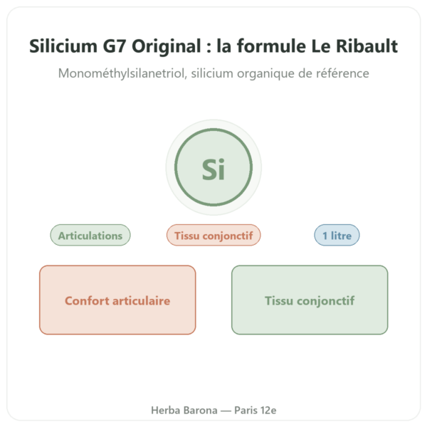 Silicium G7 Original 1L – Formule Loïc Le Ribault presentation Paris Herba Barona