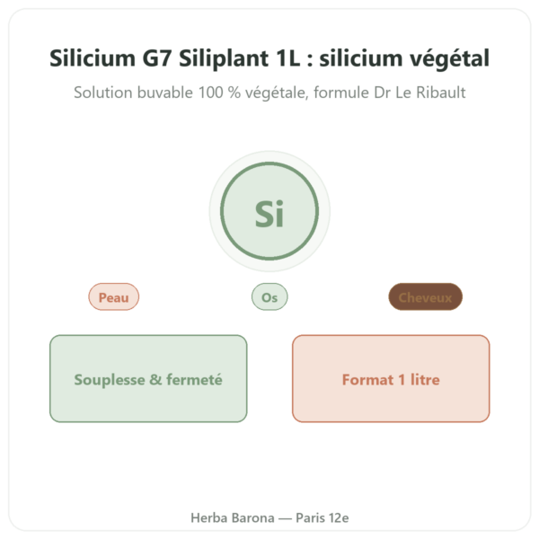 Silicium G7 Siliplant 1L – Silicium Espana presentation Paris Herba Barona