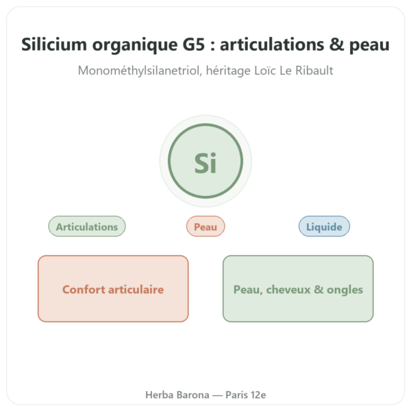 Silicium Organique G5 500 ml presentation Paris Herba Barona