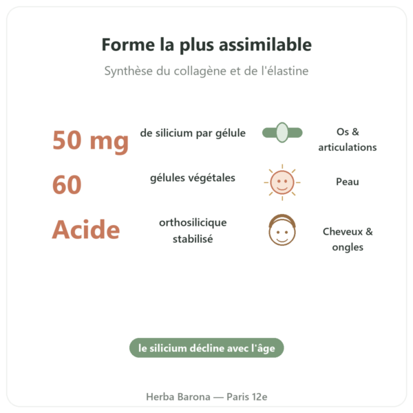 Silicium Orthogénique nature 50 mg – flacon de 60 gélules bienfaits et chiffres Paris Herba Barona