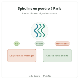 Spiruline en poudre bleue et algue bleue-verte
