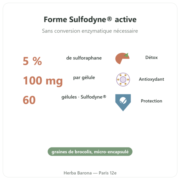 Sulforaphane – Extrait de brocolis – Dynveo – 100 mg bienfaits et chiffres Paris Herba Barona