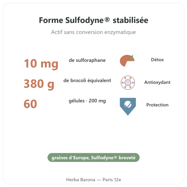 Sulforaphane – Extrait de brocolis – Dynveo – 200 mg bienfaits et chiffres Paris Herba Barona