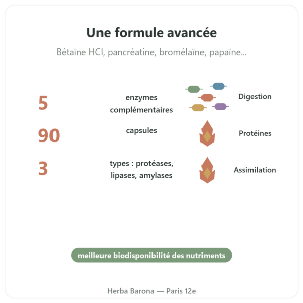 Super Enzymes Digestives – 90 Caps. – Now Foods bienfaits et chiffres Paris Herba Barona