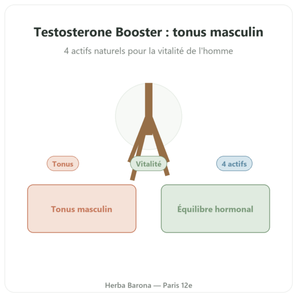 Testosterone Booster Nutrimuscle 120 gélules presentation Paris Herba Barona
